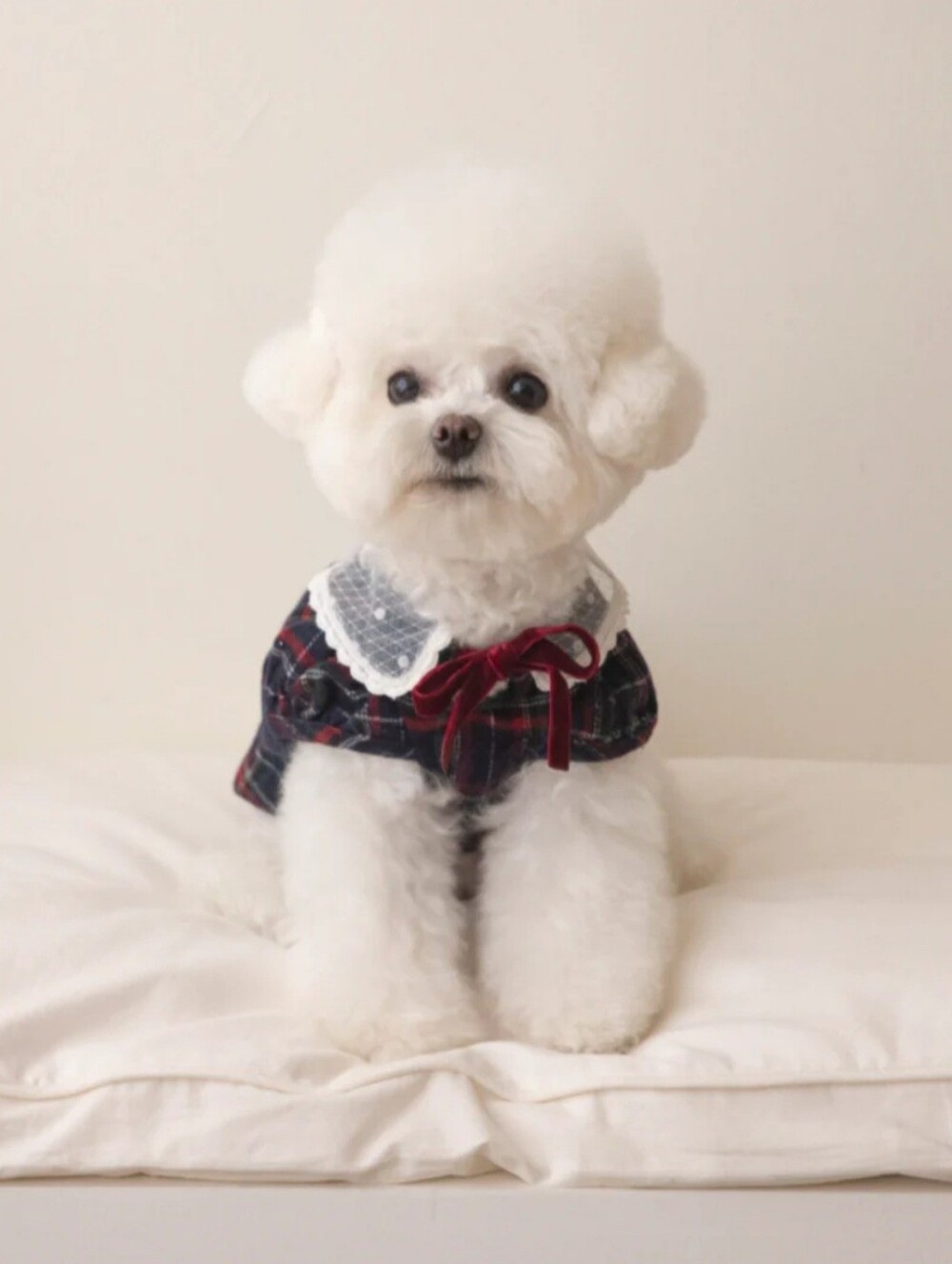 Plaid Lace-Collar Dog Dress with Velvet Bow - White & Red